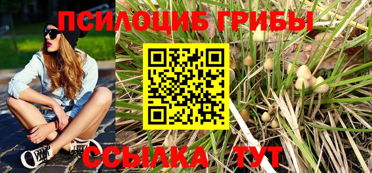 Псилоцибиновые грибы мухоморы Коркино